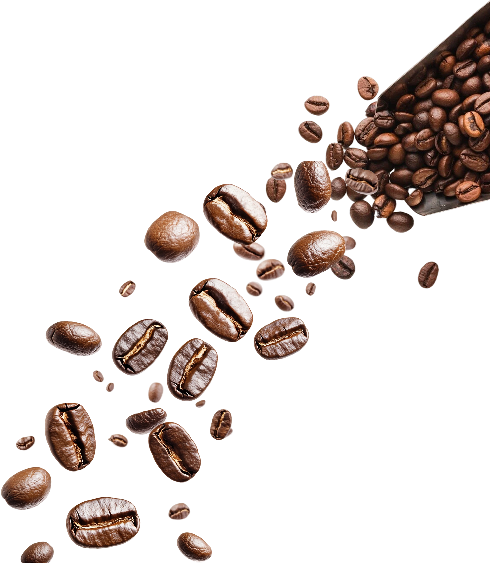 chute de grains de café